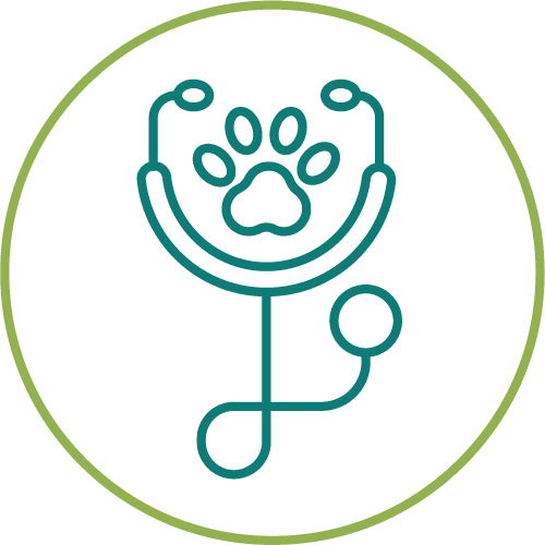 dark green drawing of a stethoscope with a paw in a light green circle