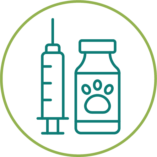 dark green drawing of a pets medicine in a light green circle